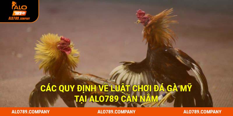 Đá Gà Mỹ Alo789 - Loại hình chiến kê đặc sắc cuốn hút hàng đầu 2 Các quy định về luật chơi đá gà mỹ tại Alo789 cần nắm